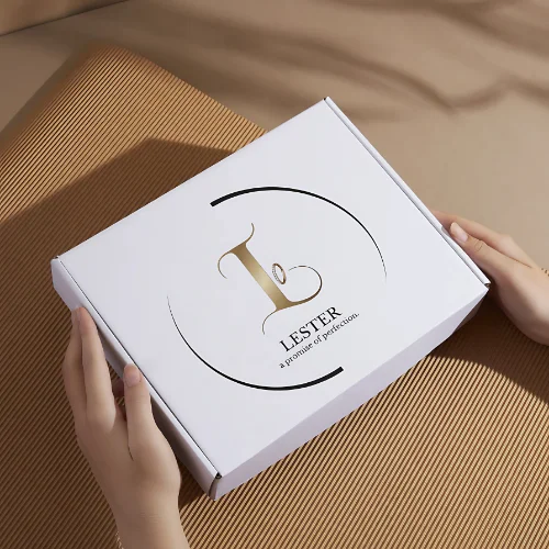 Lester logo mockup